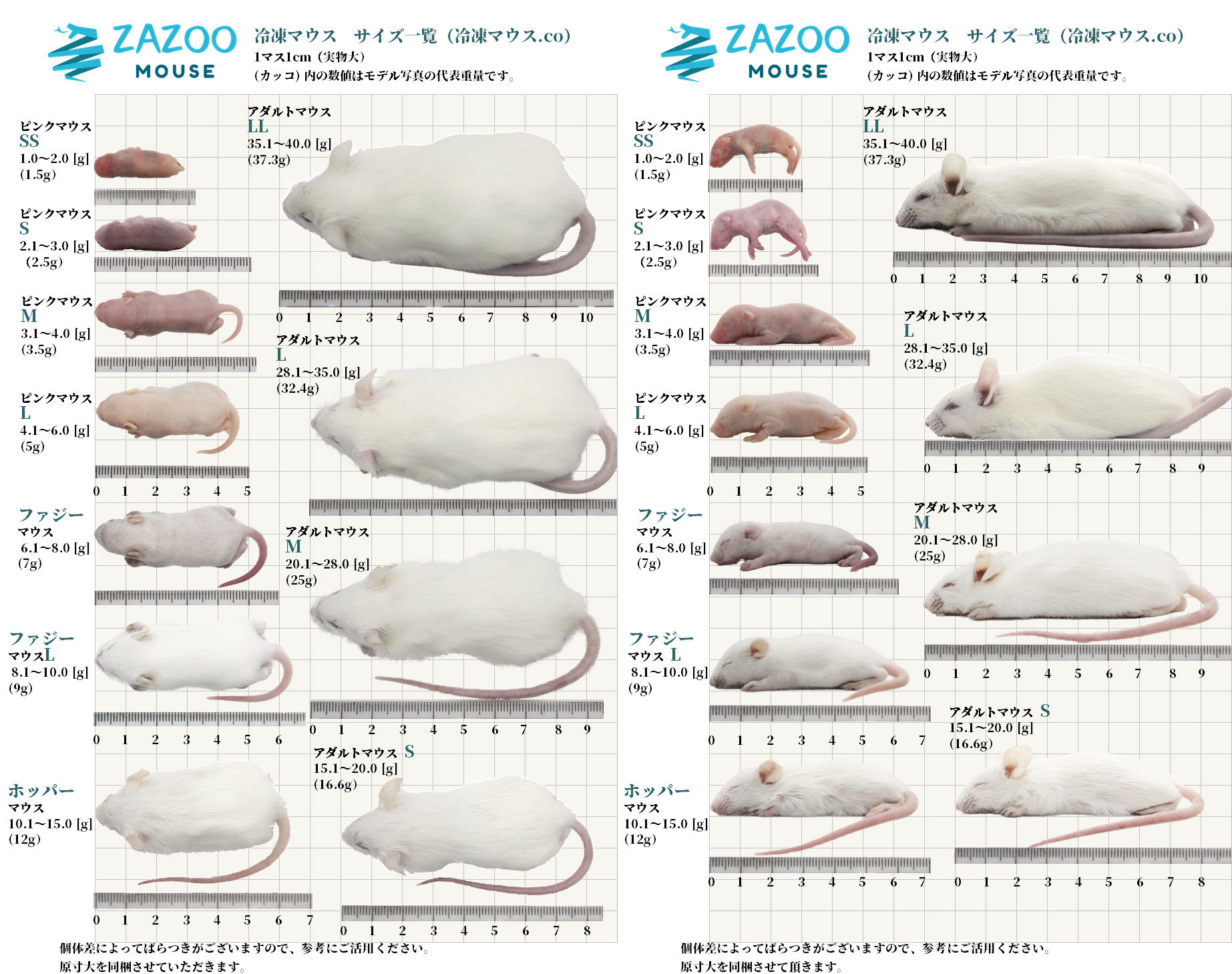 ZAZOO 冷凍マウスドットコム | あなたのペットがいつまでも健康で 
